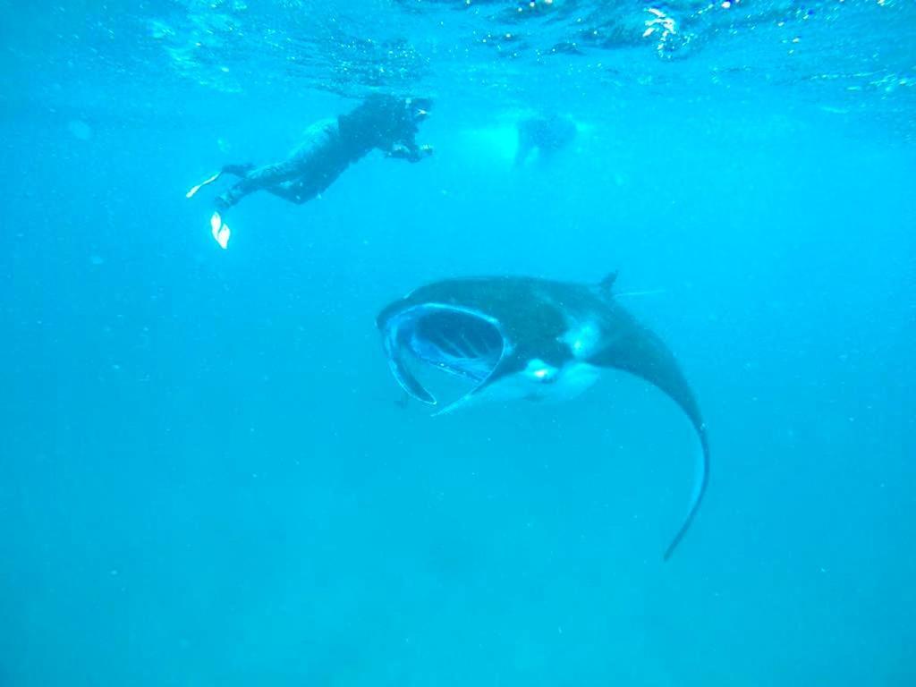 White Tern Maldives Hotel Maamigili Island Bagian luar foto